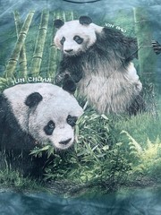 The mountain T-shirt panda bears XIN BAO ,YUN CHUAN, New Size Large