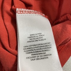 Polo Ralph Lauren Shirt Mens XL Burnt Orange Cotton Long Sleeves Hooded Pullover