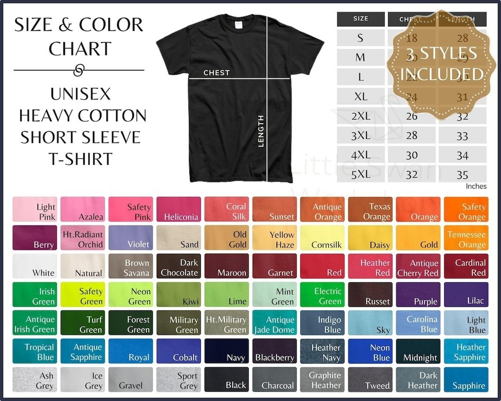 US Flag 2026 250th Anniversary T-SHIRT