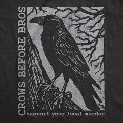 Mens Funny T Shirts Crows Before Bros Sarcastic Poe Graphic Novelty Tee for Men