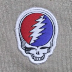 Shaka Wear Grateful Dead Steal Your Face Embroidered Tee L Beige