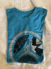Air Jordan T Shirt Blue Sz M 100 % Authentic