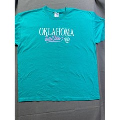 Gildan DryBlend Oklahoma United States Graphic T-Shirt Teal Green Mens XL