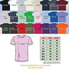 Funny Alpha Male Shirt Cute Kitten Rainbow Graphic Tee Sarcastic Men Women Gift