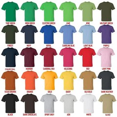 Snoopy America 250th Anniversary Patriotic 1776-2026 Graphic Tee