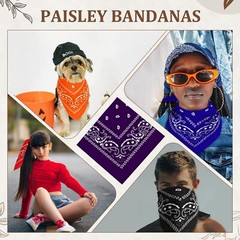 Paisley Bandanas 36 Pack Bulk Polyester Multi Purpose Party Costume Pet