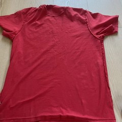 The North Face Men’s Short Sleeve T-Shirt Sunday Red Size L Logo Cotton Crew Nec