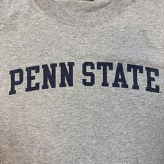 Vintage 90s Yikes Graphic T Mens M Gray Penn State University Cotton Blend