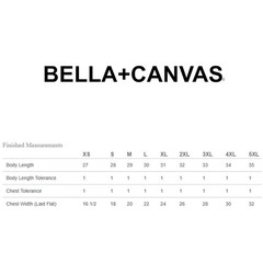 Bella + Canvas 3001CVC Unisex CVC T Shirt Retail Fit Heather Stylish Tee T-Shirt