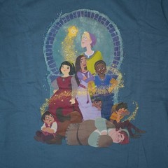 Disney Parks Wish Graphic T-Shirt Adult M 100% Organic Cotton Asha Valentino
