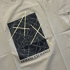Armani Exchange Metellic Box Logo Regular Fit T Shirt Silver LIning Designer