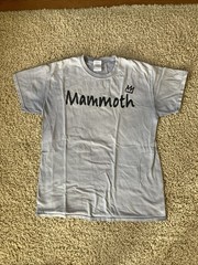 Men’s Mammoth Mountain T-Shirt Size M 100% Cotton Light Gray