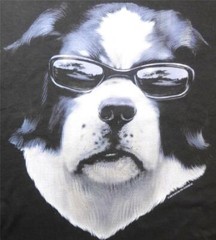 Full Frontal Attitude Big Dogs Black Tee Shirt L XL 2X 3X 4X 5X Sunglasses New