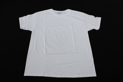 Champion Men’s Short Sleeve T Shirt White Assorted Sizes S-4XL NWT
