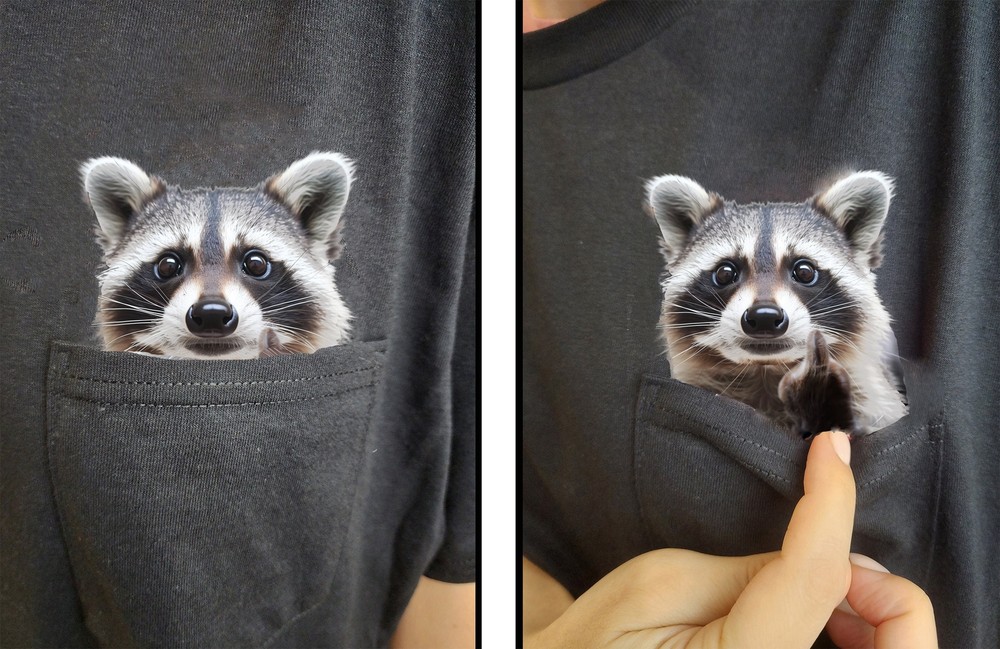 Funny Raccoon Shirt – Humor Raccoon Hidden Middle Finger Pocket – Raccoon