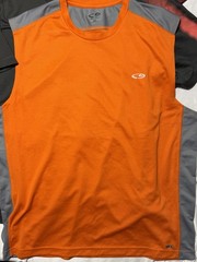 Lot Of 5 Assortment Of XL Shirts Short Sleeve(Reebok, C9, AE, Aeropostale)