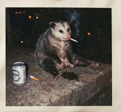 Possum Smoking Beer T-Shirt, Funny Opossum Graphic Tee, Dark Humor Animal Shirt