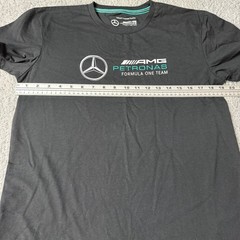 Mercedes AMG Petronas F1 Mens Graphic T-Shirt Black Size M
