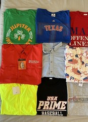 Bundle Lot of 12 Mens Graphic Tshirt/Polo Various Sizes & Colors New/Used Resell
