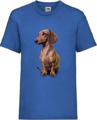 Brown Dachshund Dog Pet Friend Family Novelty T Shirt Various Colours And Sizes
