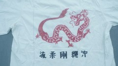 RONNIE VAN CLIEF CHINESE GOJU KUNG FU DRAGON LOGO GRAPHIC T-SHIRT SIZE LARGE