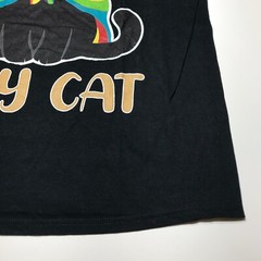 NWOT Ally Cat Graphic Rainbow Pride Short Sleeve Black Crew T-Shirt Mens Size XL