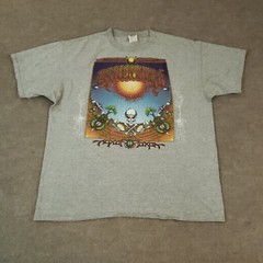 Vtg Grateful Dead Shirt Men XL Gray Aoxomoxoa Rick Griffin Album Anvil 2001