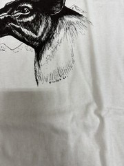 NWT Filson Caribou Short Sleeve T Shirt Pioneer Graphic White Black Made in USA