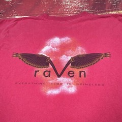 VTG 90’s Cannondale Shirt RAVEN Super V Mens 2XL Mountain Bike Promo Faded MTB