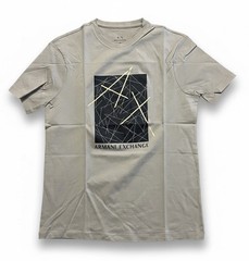 Armani Exchange Metellic Box Logo Regular Fit T Shirt Silver LIning Designer