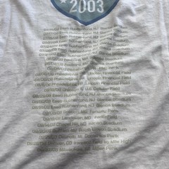 Bruce Springsteen & E Street Band 2003 Tour Shirt Hanes Heavyweight Size Medium