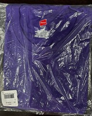 Hanes Tagless 100% Preshrunk Cotton Men’s Size Large Tee Shirts Many Colors