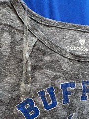NWT ladies SML Univ. at Buffalo (NY) Bulls crew gray cotton/poly/rayon tee