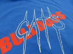 Vintage 2001 Men’s Bell Game Shirt XL Centennial Bull Dogs Central Wildcats Y2K