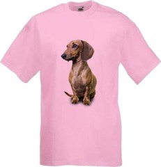 Brown Dachshund Dog Pet Friend Family Novelty T Shirt Various Colours And Sizes