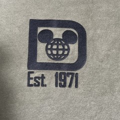 Disney Parks Spirit Jersey LS Pullover Men’s XL Army Green Walt Disney World