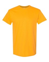 Gildan Mix Color Adult Slightly Imperfect T-Shirt