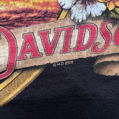 Y2K Pacific Harley Davidson Waikiki Hawaii Fire Sunset Biker Motorcycle Tee XL