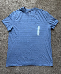 Goodfellow & Co Men’s L Standard Fit Crew Neck Short Sleeve Blue Stripe Tee