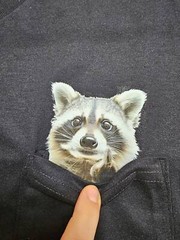 Funny Raccoon Shirt – Humor Raccoon Hidden Middle Finger Pocket – Raccoon