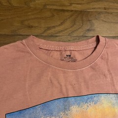 Claude Monet Art Shirt Men’s Medium T-Shirt Pink NWOT Tee Painting Outdoor