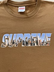 Supreme Gotham Tee New York Brown Size M 100% Authentic READ
