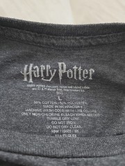 Harry Potter Hogwarts Dk Grey, Men’s S S Shirt,L, Whimsical Feeling Of Hogwarts.