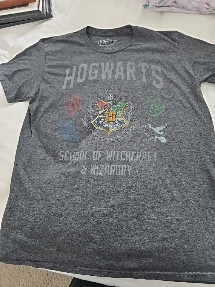 Harry Potter Hogwarts Dk Grey, Men’s S S Shirt,L, Whimsical Feeling Of Hogwarts.