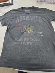 Harry Potter Hogwarts Dk Grey, Men’s S S Shirt,L, Whimsical Feeling Of Hogwarts.