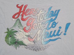Hanes Vintage 70s Hawaii T-shirt Adult Boxy XL Powder Blue Surfer Beach Maui