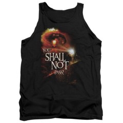 The Lord of the Rings You Shall Not Pass Licensed Adult T-Shirt
