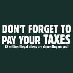 Don’t Forget To Pay Your Taxes Sarcastic Humor Graphic Novelty Funny T Shirt