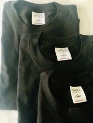 6 Pack Shaka wear t shirt heavyweight