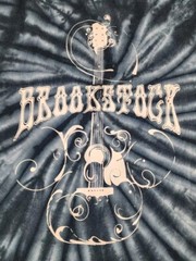 Sundog Brookstock Music Festival Shirt Mens Extra Large Guitar Tie-dye Adult A63